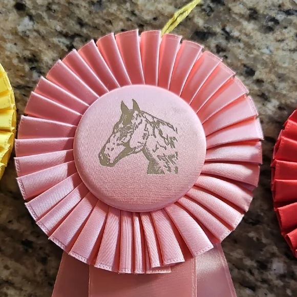 3 Vintage 1965 American Saddle Bred Tennessee Walker horse show rosettes ribbons - Picture 4 of 14